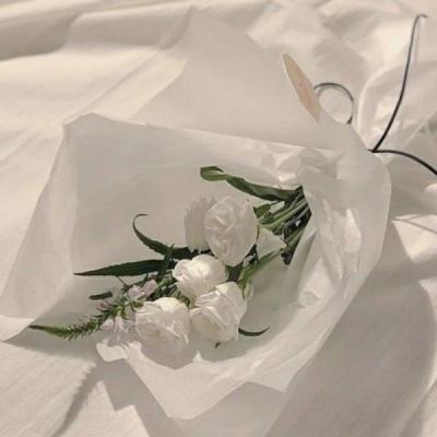 名扬沙城果盘版下载