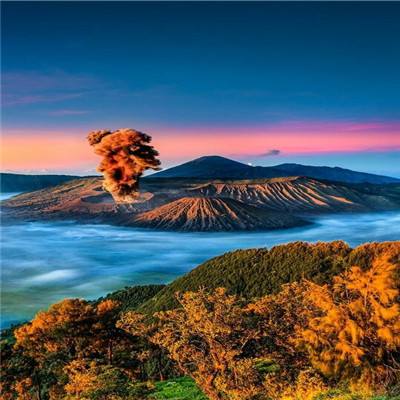 梦想花园2手游下载