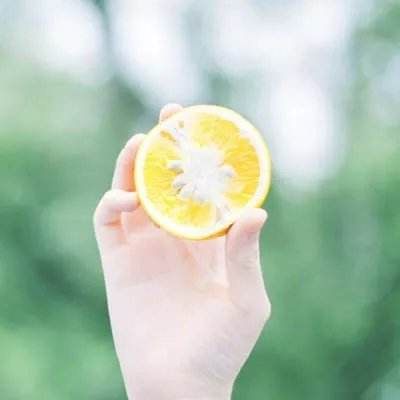 铁血中州手机版
