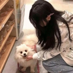 重拳之地手机版下载